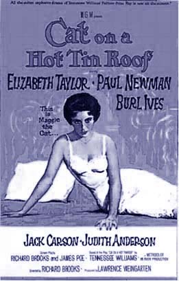 Cat on a Hot Tin Roof